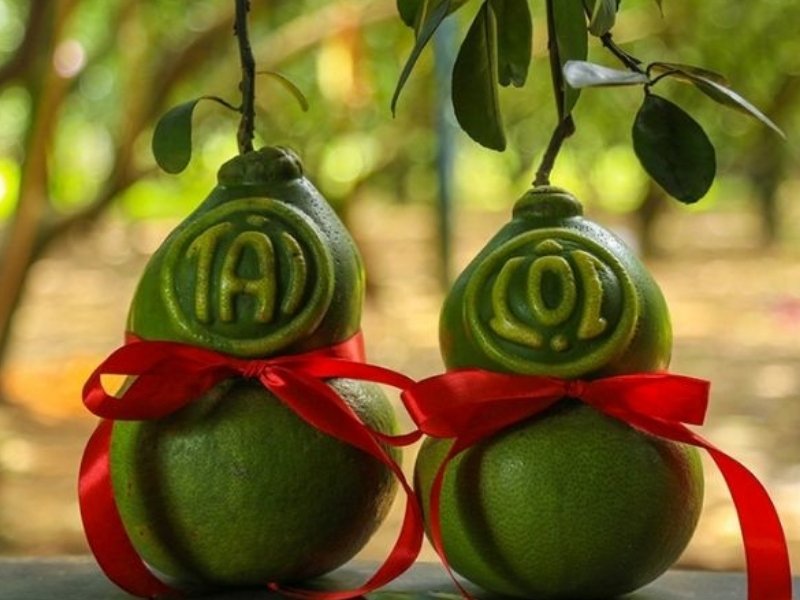Trái cây độc lạ