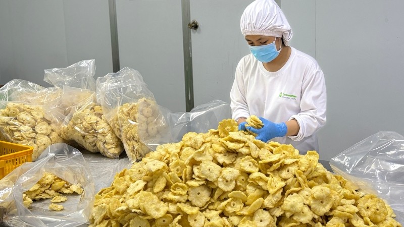 công ty sản xuất trái cây sấy