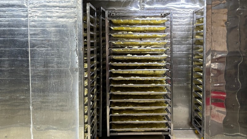 công ty sản xuất trái cây sấy