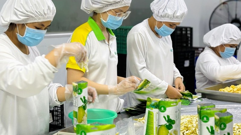 công ty sản xuất trái cây sấy