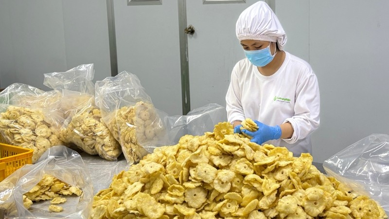 gia công sấy trái cây