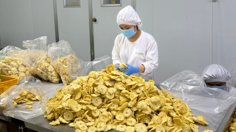 nhà cung cấp trái cây sấy việt nam