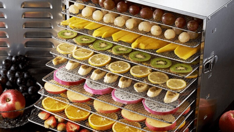 nhà máy sấy trái cây