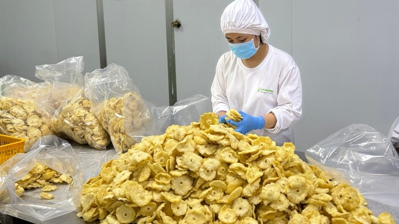 trái cây sấy khô xuất khẩu