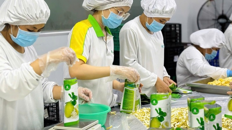 trái cây sấy khô xuất khẩu