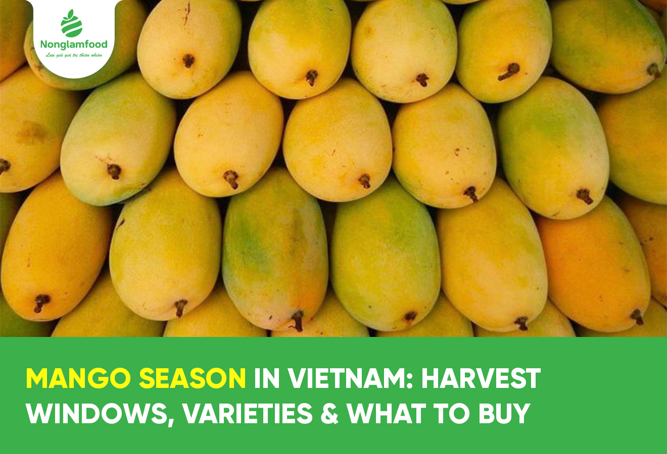Mango Season in Vietnam: Harvest Windows, Varieties & What to Buy