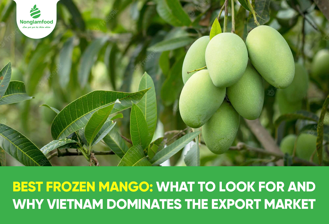 Best Frozen Mango: What to Look for and Why Vietnam Dominates the Export Market