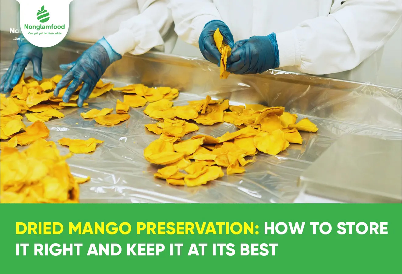 Dried Mango Preservation: How to Store It Right and Keep It at Its Best