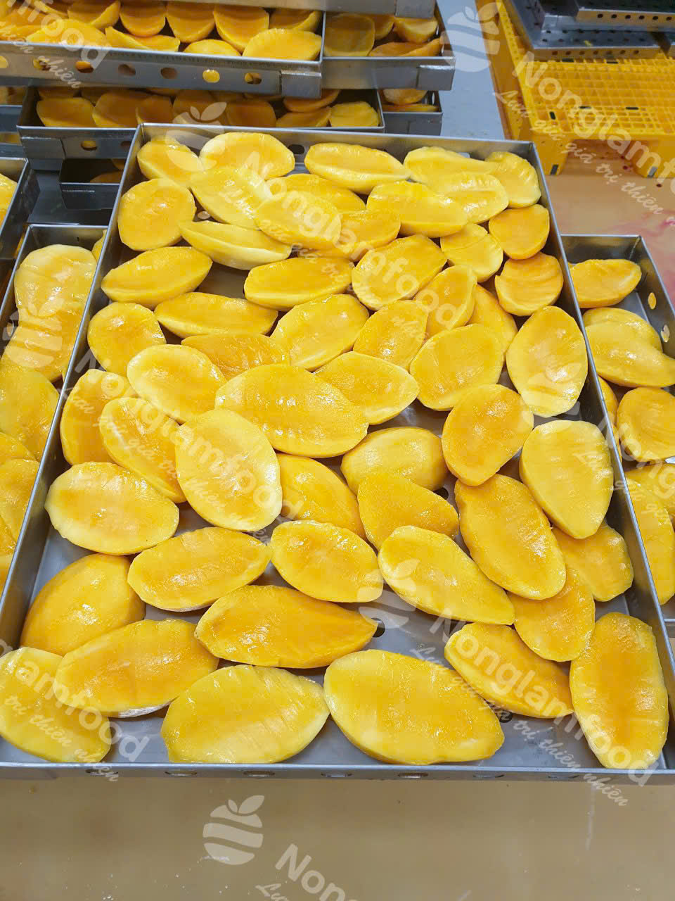 Xoài Sấy Dẻo Nonglamfood sống động và vàng óng