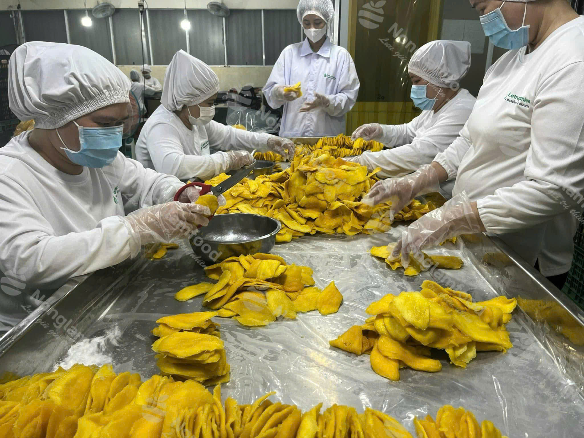 Phân loại Xoài Sấy Dẻo Nonglamfood