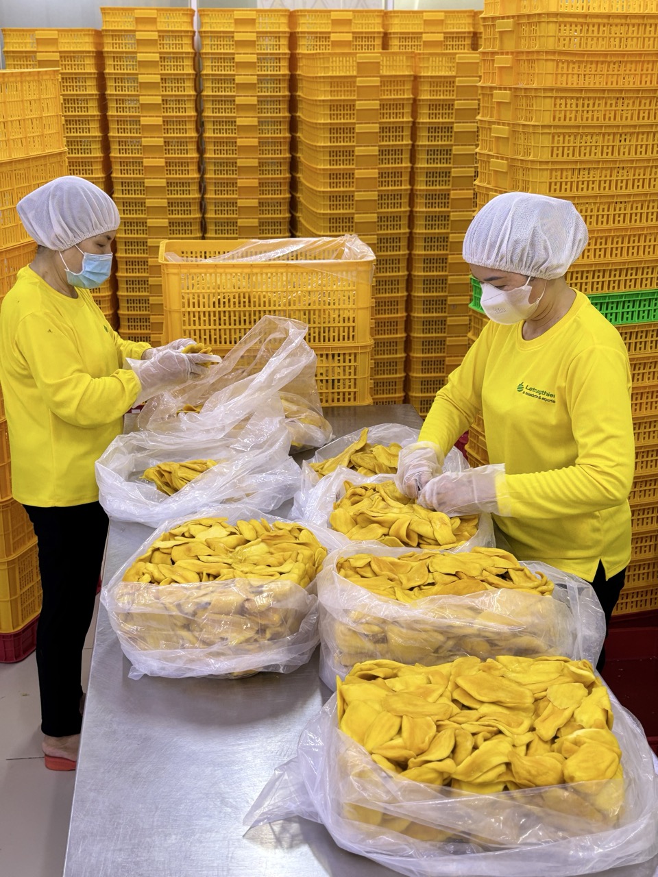 Công nhân Nonglamfood đang đóng gói xoài sấy dẻo