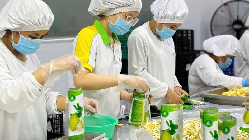 Nhà Cung Cấp Trái Cây Sấy Việt Nam | Nguồn Sỉ Chất Lượng – Giá Tốt – OEM Theo Yêu Cầu