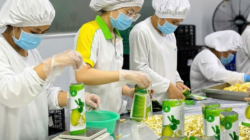 Tìm Nhà Phân Phối Trái Cây Sấy Dẻo – Toàn Cảnh Thị Trường 2025