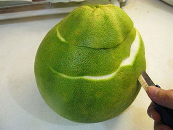 Why not talk about the effect of fresh pomelo peel