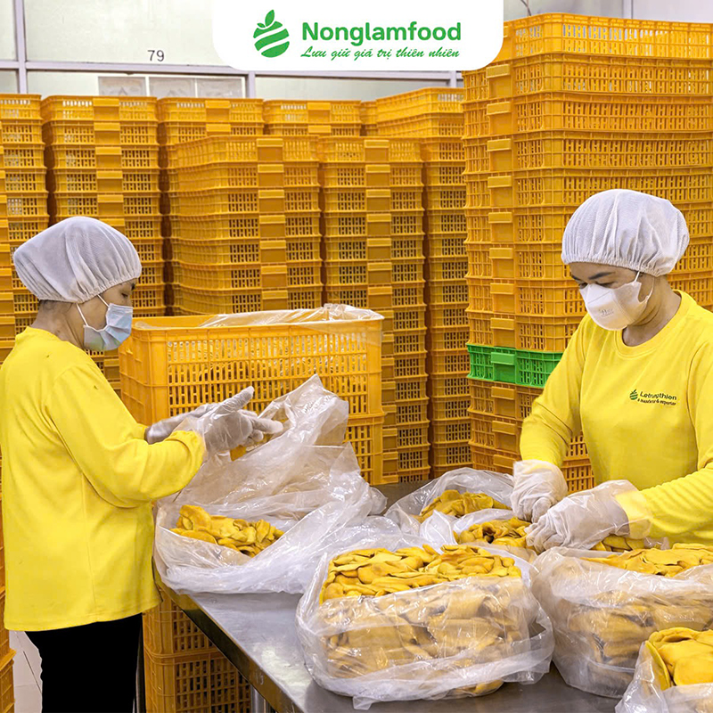 Nông Lâm Food Mang Đến Giải Pháp Gia Công Trái Cây Sấy Toàn Diện