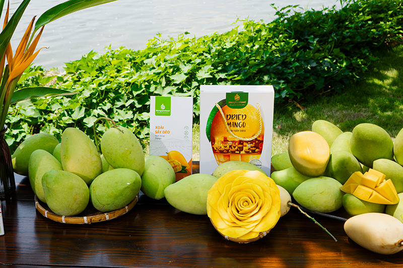 Nông Lâm Food – Nhà sản xuất và xuất khẩu trái cây sấy Việt Nam 