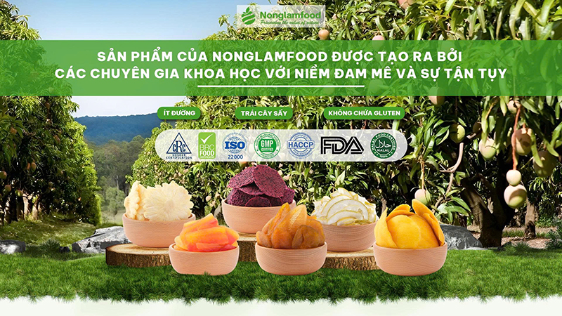 Nông Lâm Food – Nhà sản xuất và xuất khẩu trái cây sấy