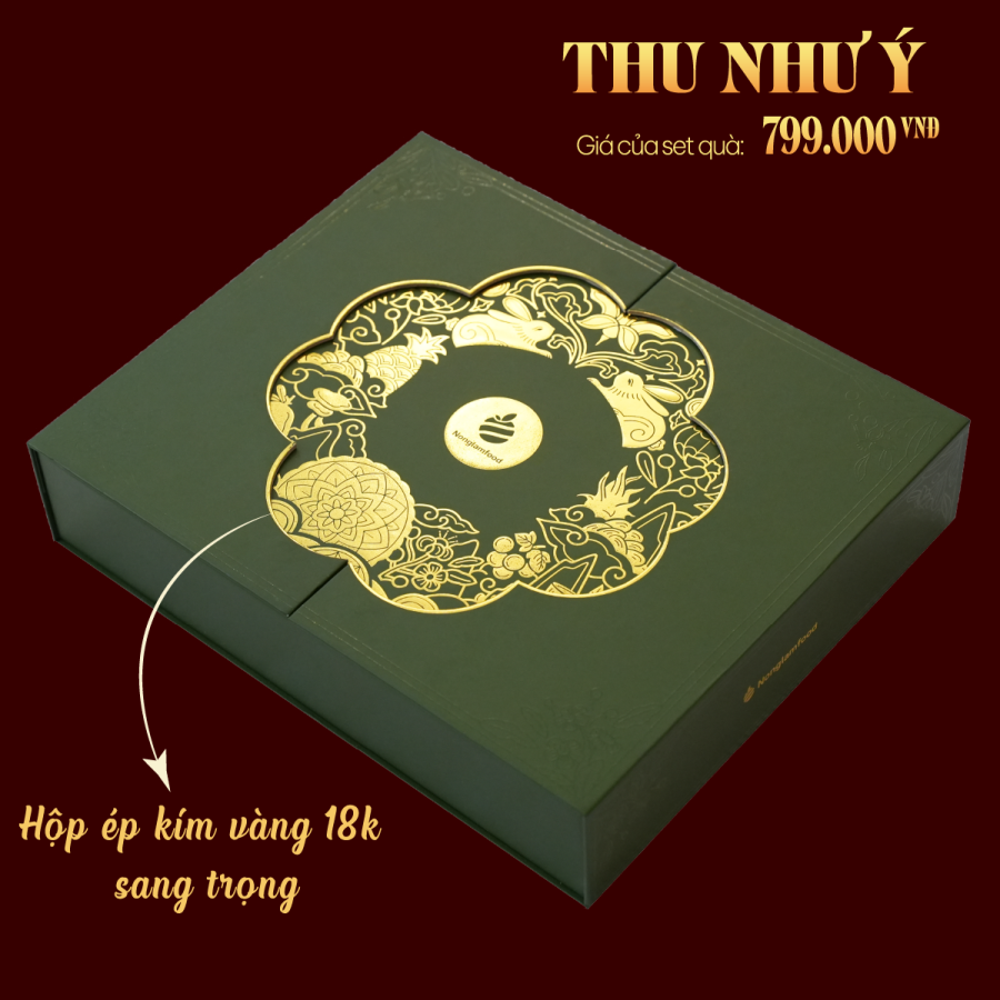 resize_5._THU_NHU_Y.png