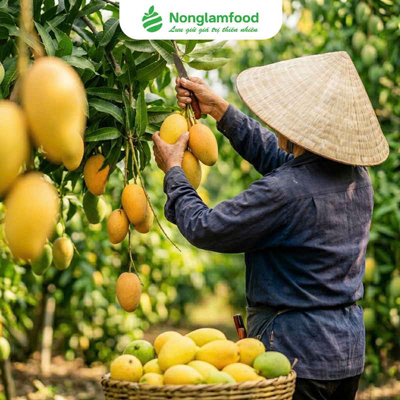 Quy trình xây dựng bộ quà tặng doanh nghiệp tại Nông Lâm Food